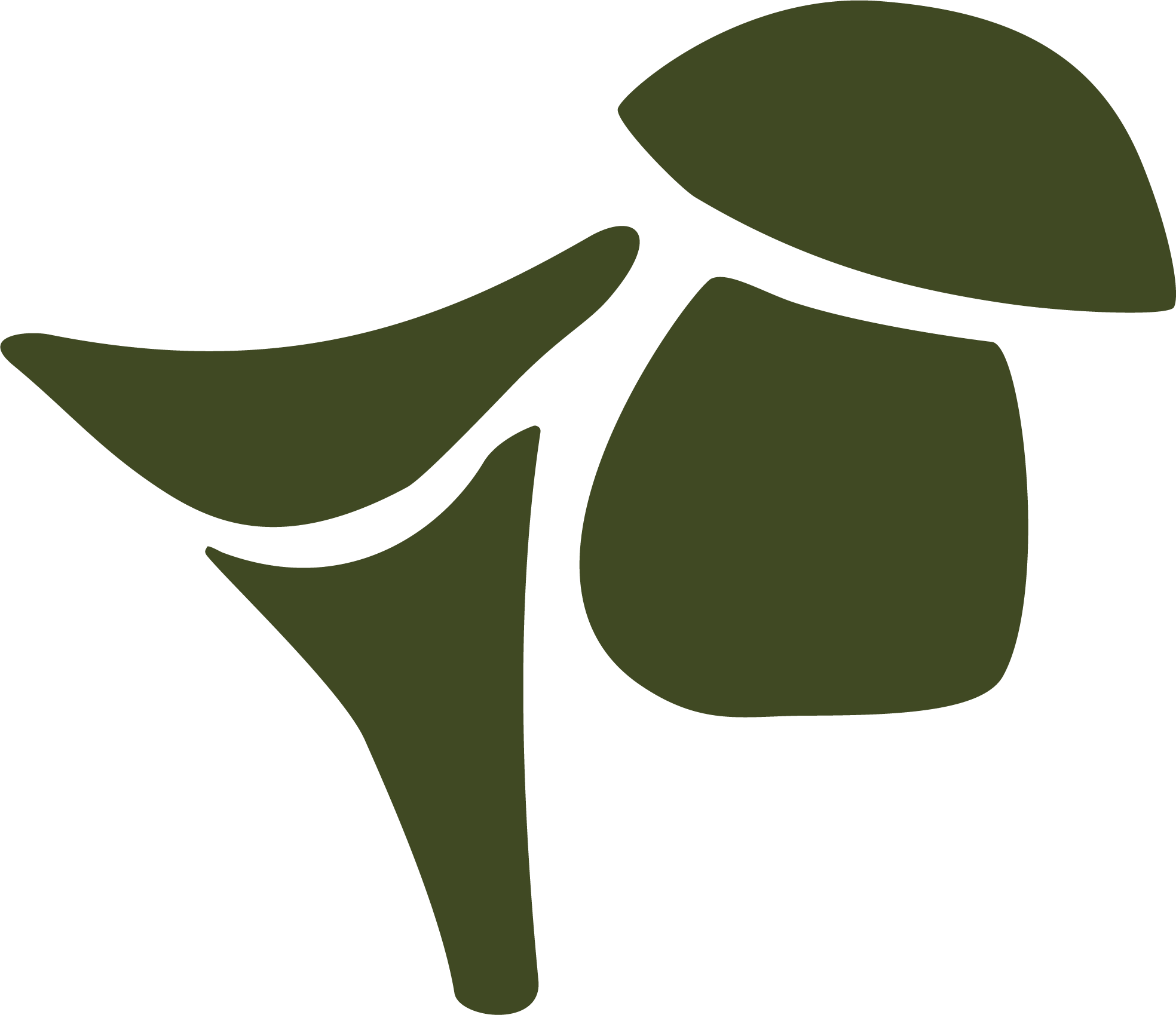 PASS BOLETUS